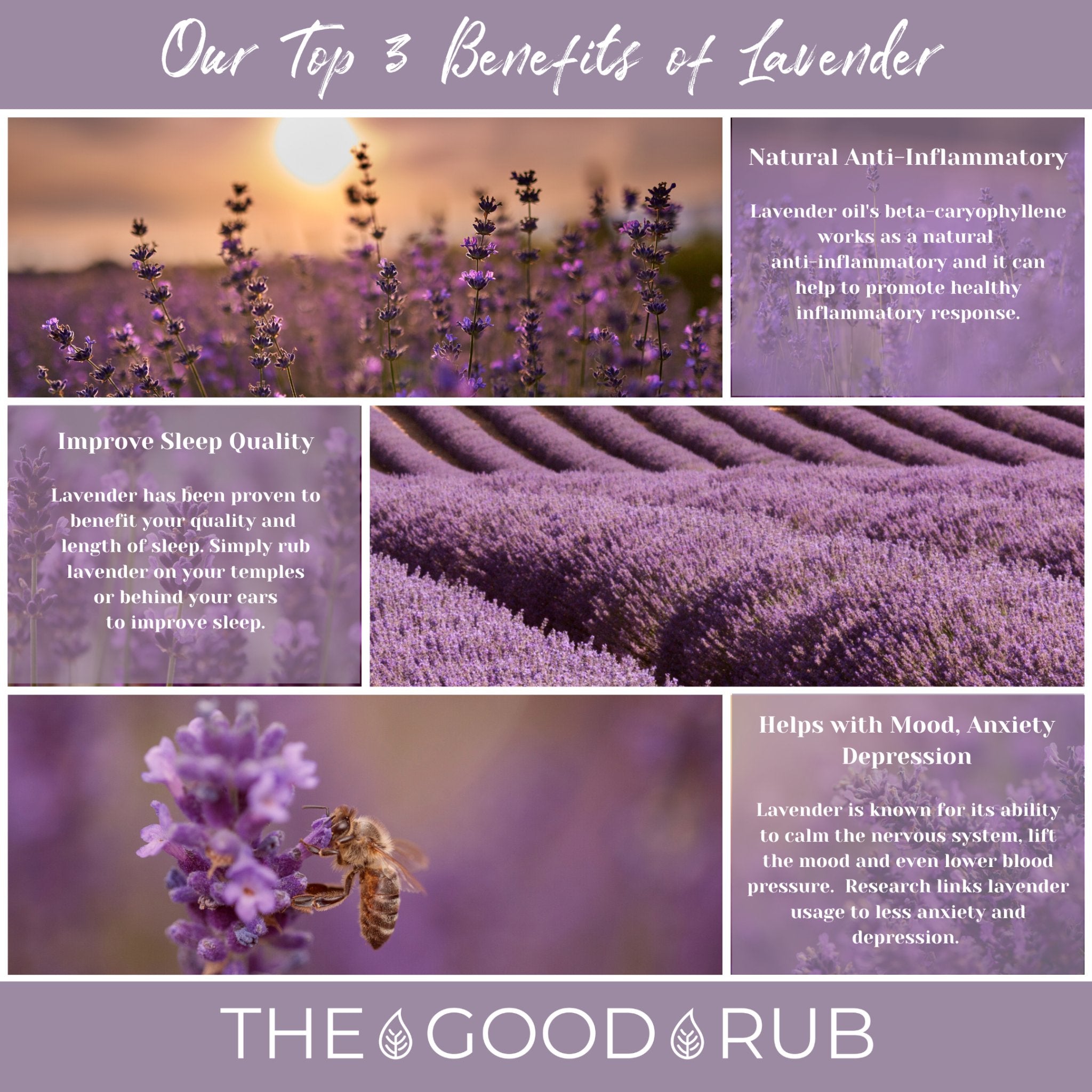 Our Top 3 Benefits of Lavender - The Good Rub